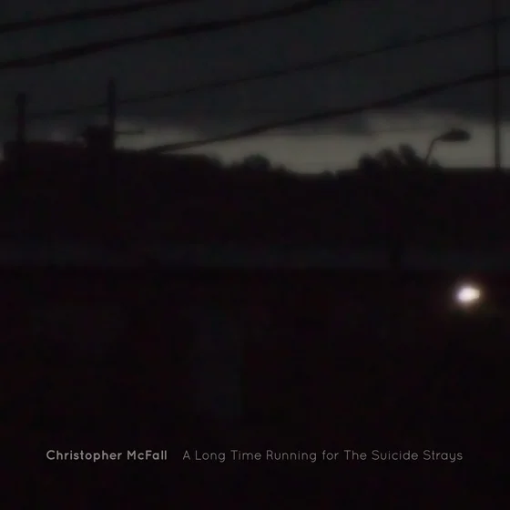 Cover art for A Long Time Running for The Suicide Strays