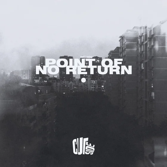 Cover art for Point Of No Return