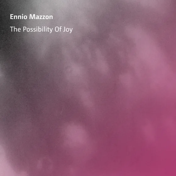 Cover art for The Possibility Of Joy