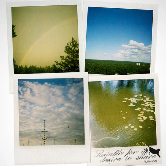 Cover art for Suitable For A Desire To Share