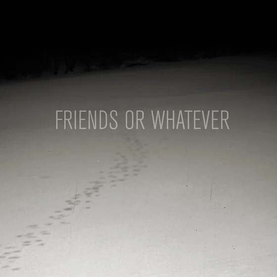 Cover art for Friends or Whatever