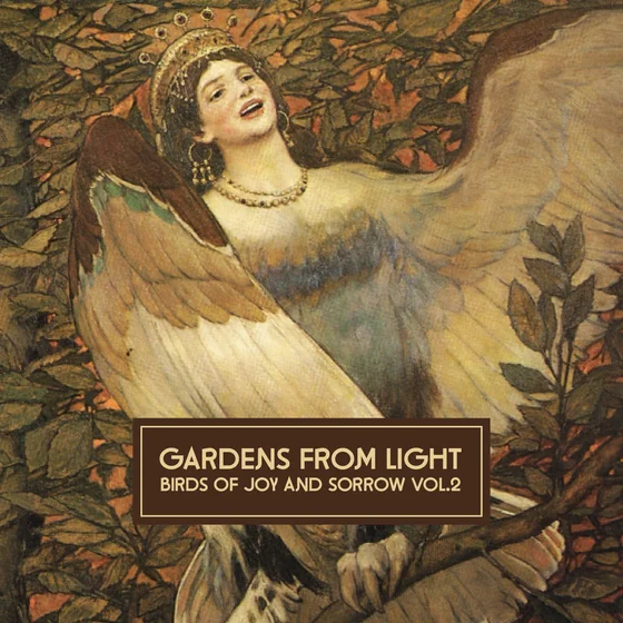 Cover art for Birds Of Joy And Sorrow Vol. 2