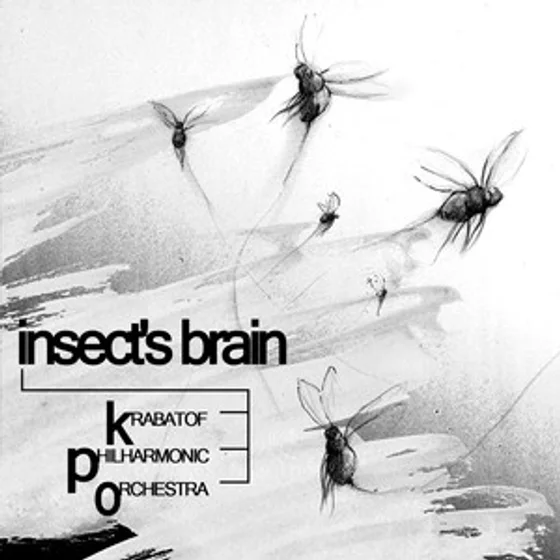 Cover art for Insect's Brain