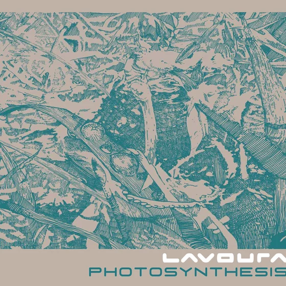 Cover art for Photosynthesis