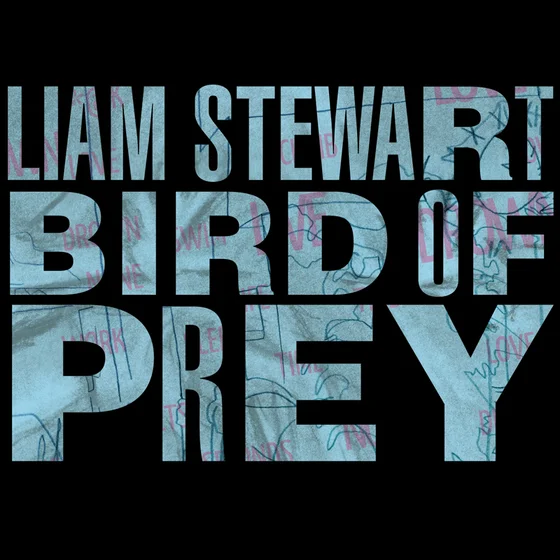 Cover art for Bird Of Prey