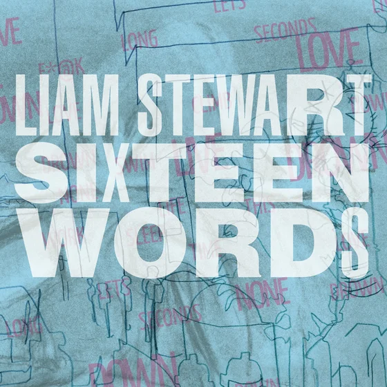 Cover art for Sixteen Words