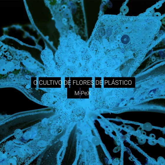 Cover art for O Cultivo de Flores de Plástico