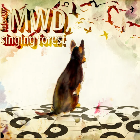 Cover art for Singing Forest