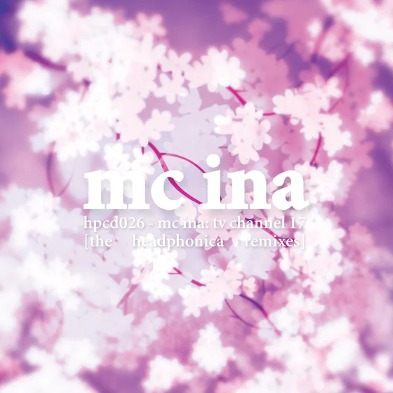 Cover art for TV Channel 17 (The Headphonica Remixes)