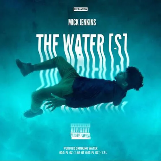 Cover art for The Water[s]