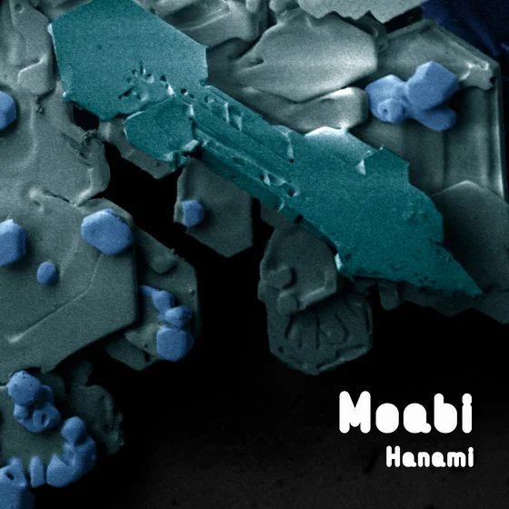 Cover art for Hanami