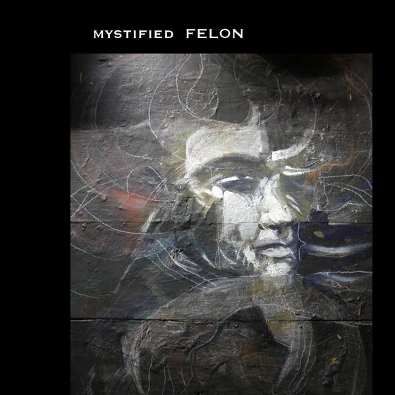 Cover art for Felon
