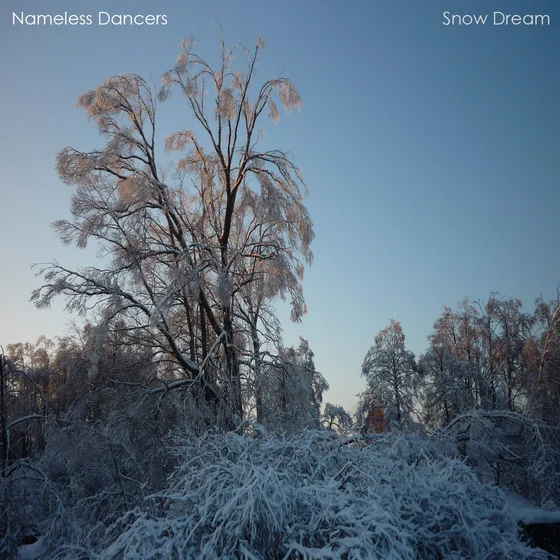 Cover art for Snow Dream