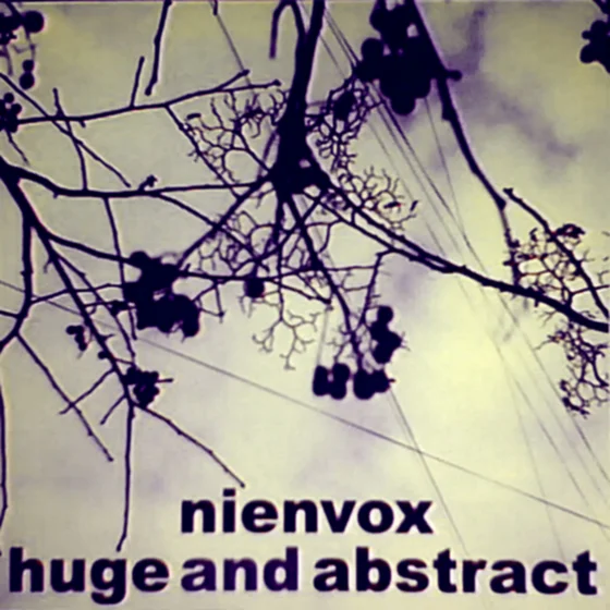 Cover art for Huge And Abstract