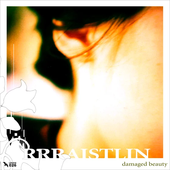 Cover art for damaged beauty