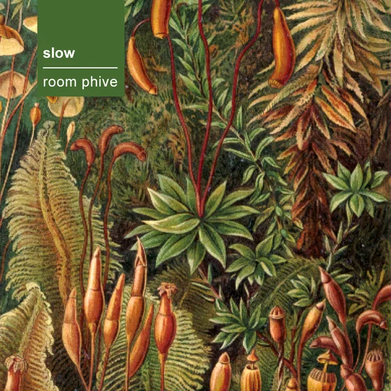 Cover art for room phive