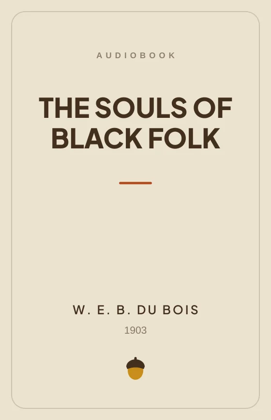Cover art for The Souls of Black Folk