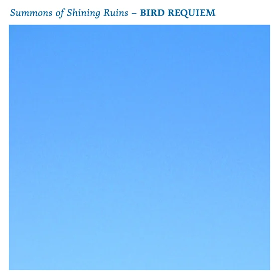 Cover art for BIRD REQUIEM