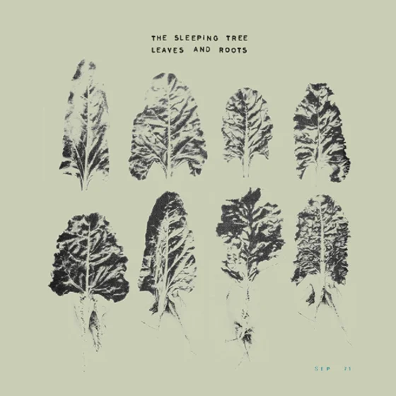 Cover art for Leaves and Roots