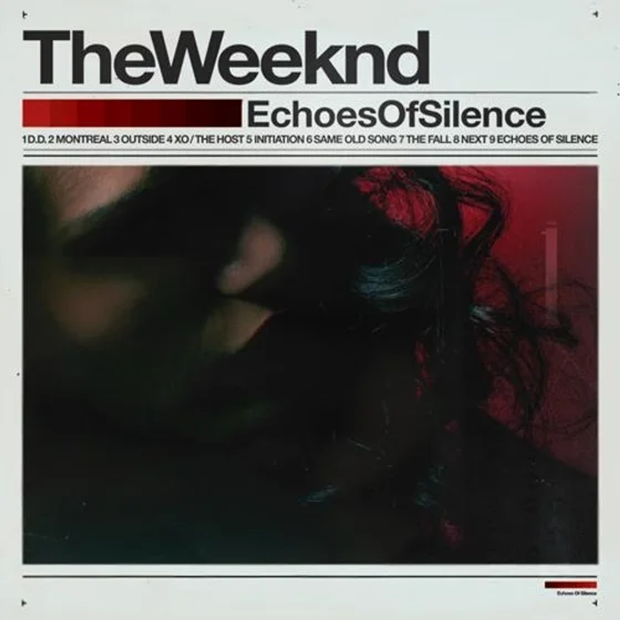 Cover art for Echoes of Silence