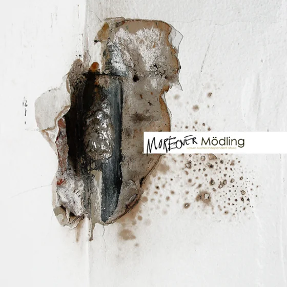 Cover art for Moreover Moedling