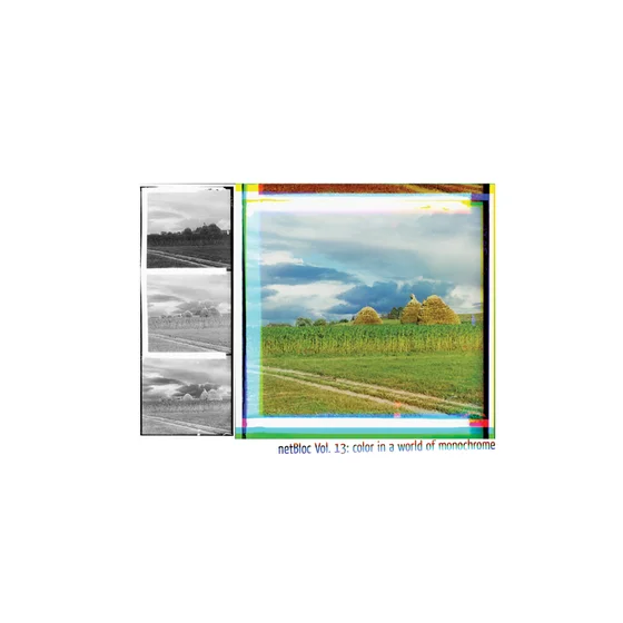 Cover art for netBloc Vol. 13: color in a world of monochrome