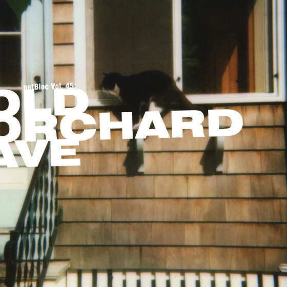 Cover art for netBloc Vol. 45: Old Orchard Ave